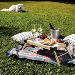 Столик - поднос с ножками Tramontina Small Tray Black 47,2x27,2x20 см складной (91390/108)