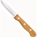 Набір ножів для чистки овочів Tramontina Dynamic 76 мм 2 шт (22310/203)